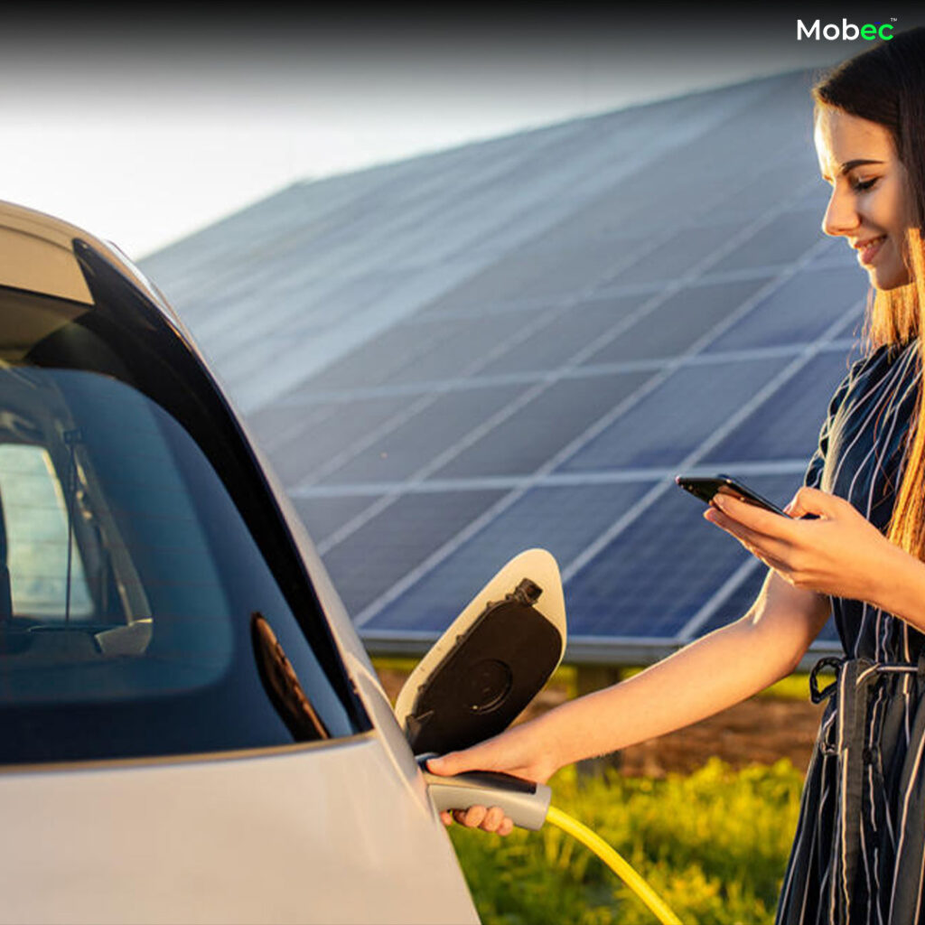 An illustrative representation symbolizing the diverse charging models and regulatory frameworks in the electric vehicle (EV) landscape, showcasing adaptability and variety.